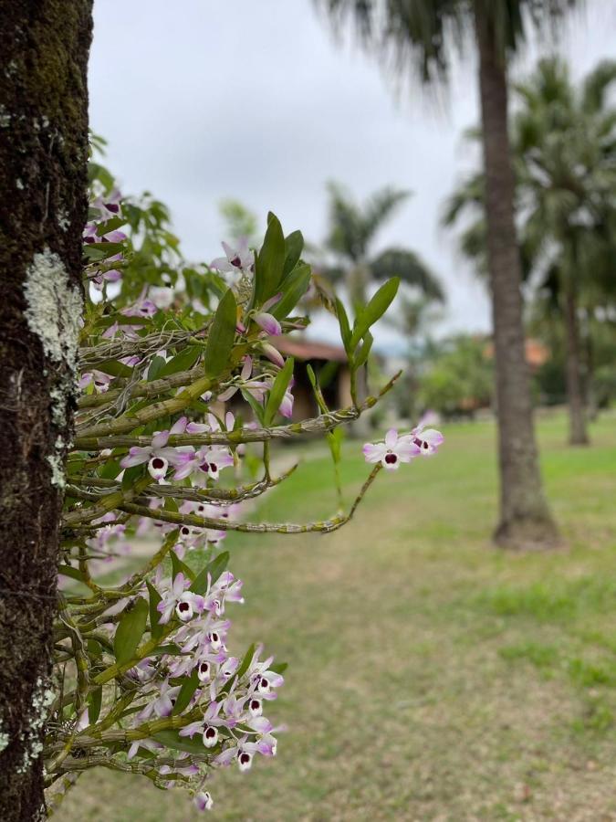 Pousada Quinta Da Mantiqueira Hotel Penedo  Kültér fotó